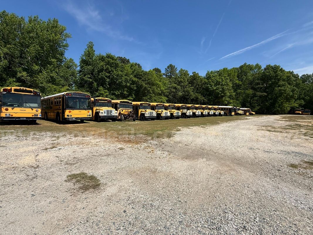 Lot of Junk/Scrap School Buses (40 Total)
