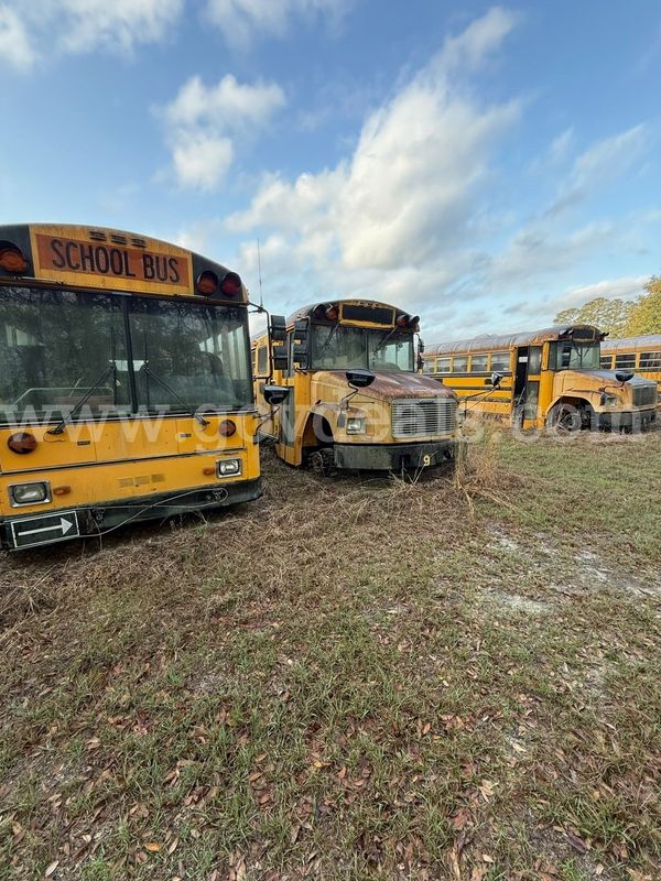 Lot of Junk/Scrap School Buses (16 Total)