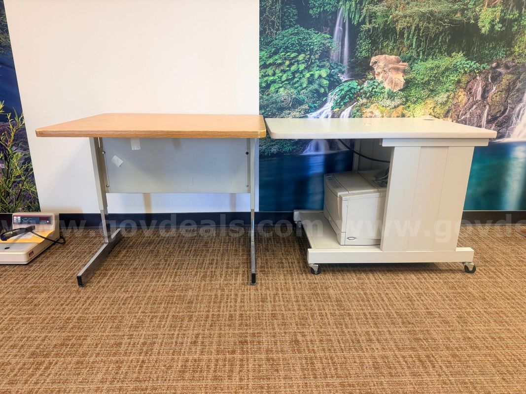 Canon File Print 400 Printer and two small tables