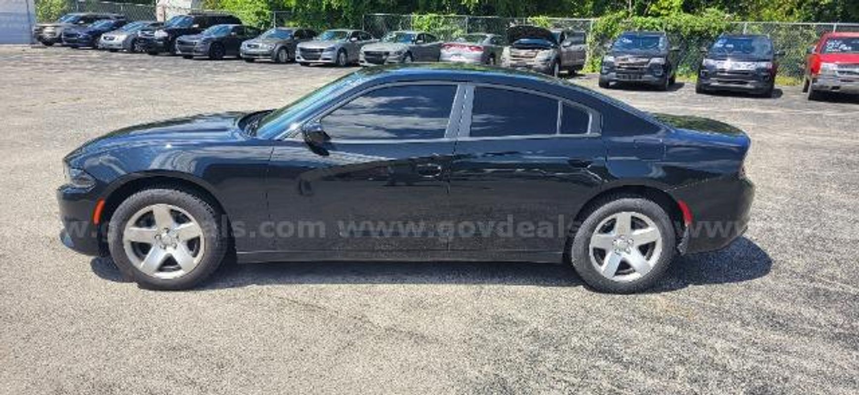 2019 DODGE CHARGER/DS18658/99372/KSP/SP7016 (1 of 12)