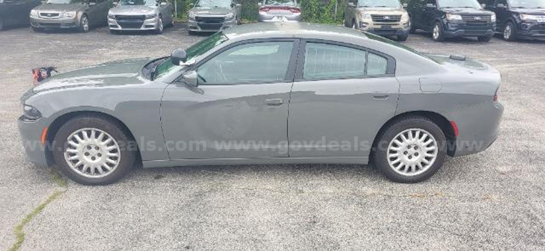 2019 DODGE CHARGER AWD PPV/DS18658/99362/KSP/SP4929