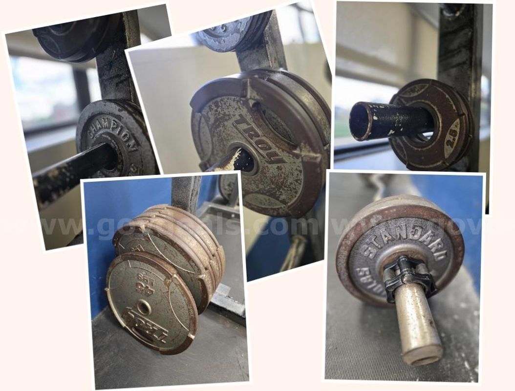 100-Piece TROY Weight set