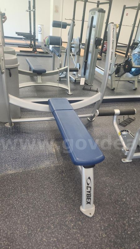 Cybex Olympic Flat Bench