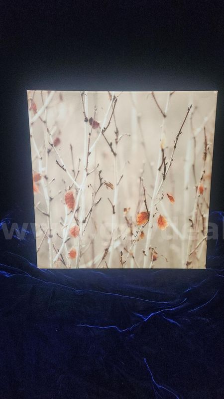 16x16 Canvas Art