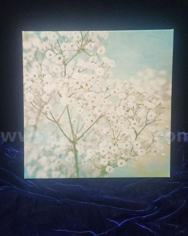 16x16 Canvas Art