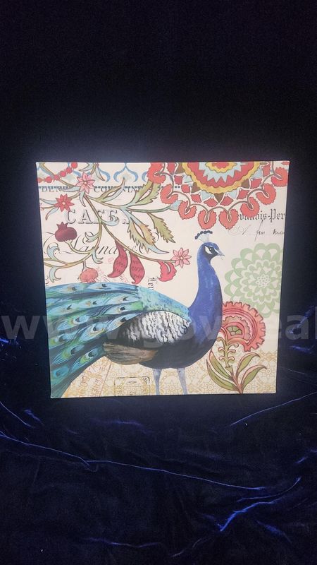 12x12 Canvas Art