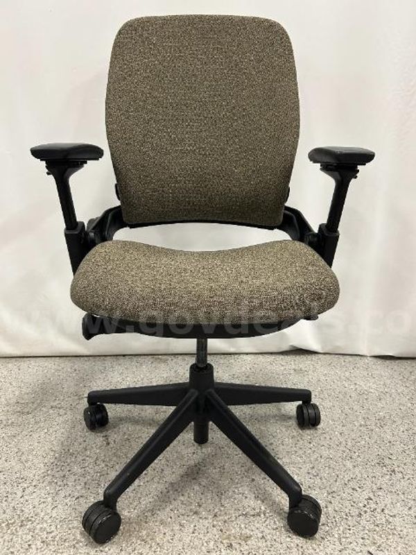 Steelcase Leap v2 Ergonomic Office Chair