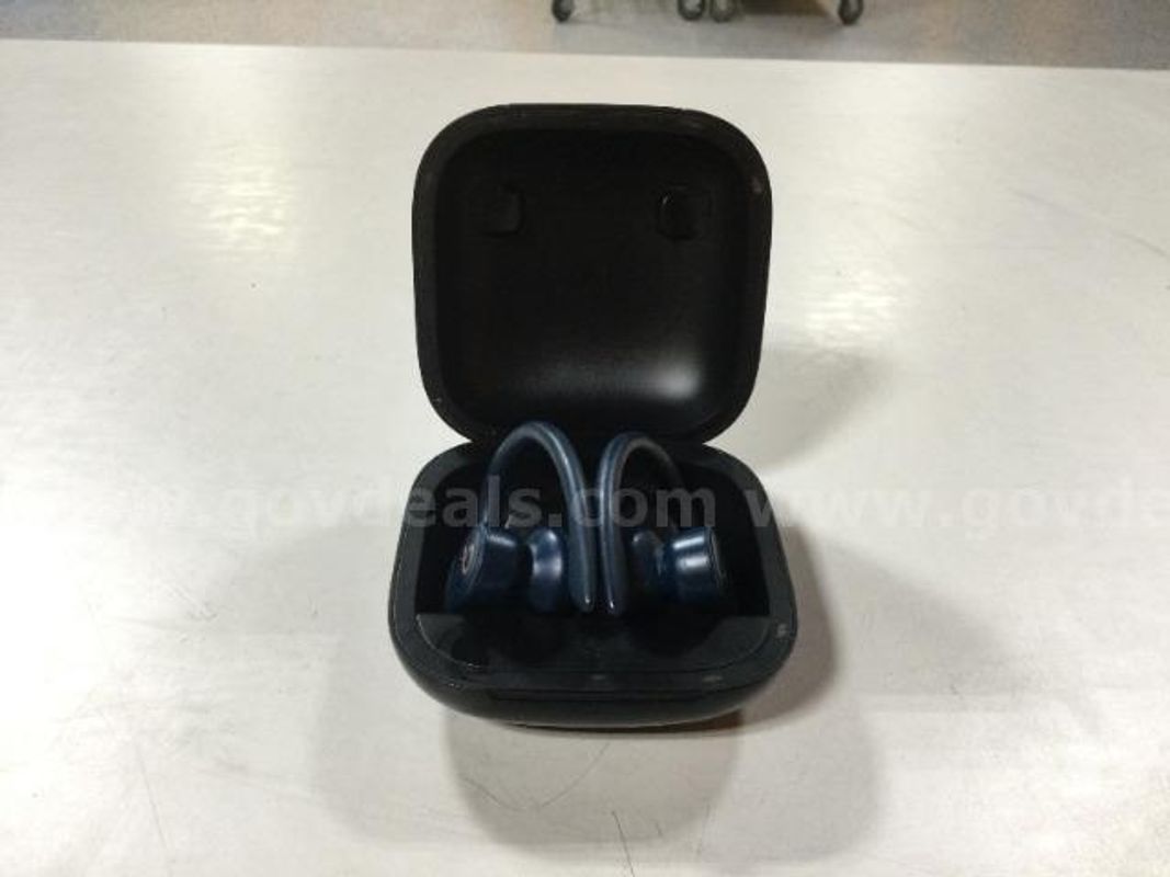 Beats Powerbeats Pro A2048 Wireless Earphones