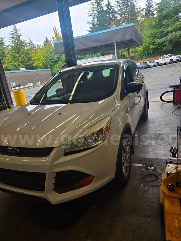 2014 Ford Escape