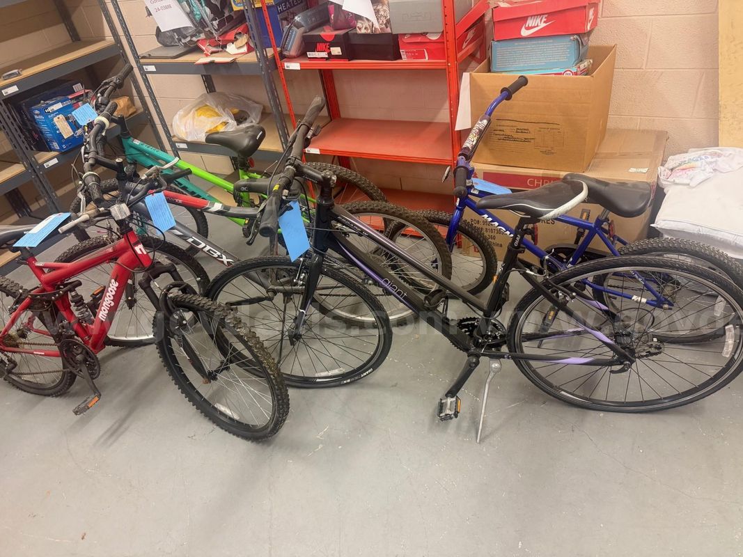 Lot of 5 Bikes