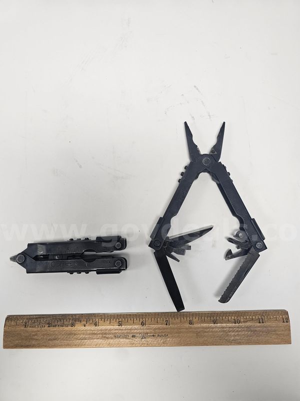 Gerber Multi-Plier 600 (Anchorage, AK)