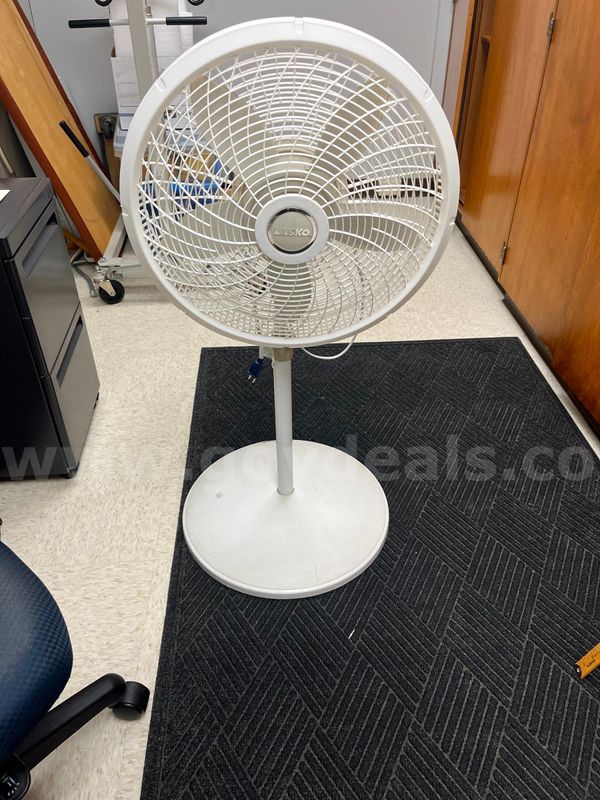 (1) Tall fan
