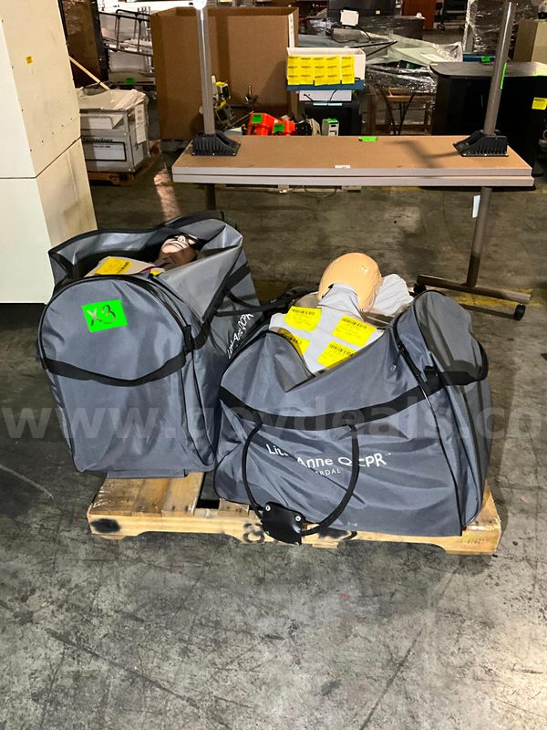 Medical Training Mannequins (12 pcs)