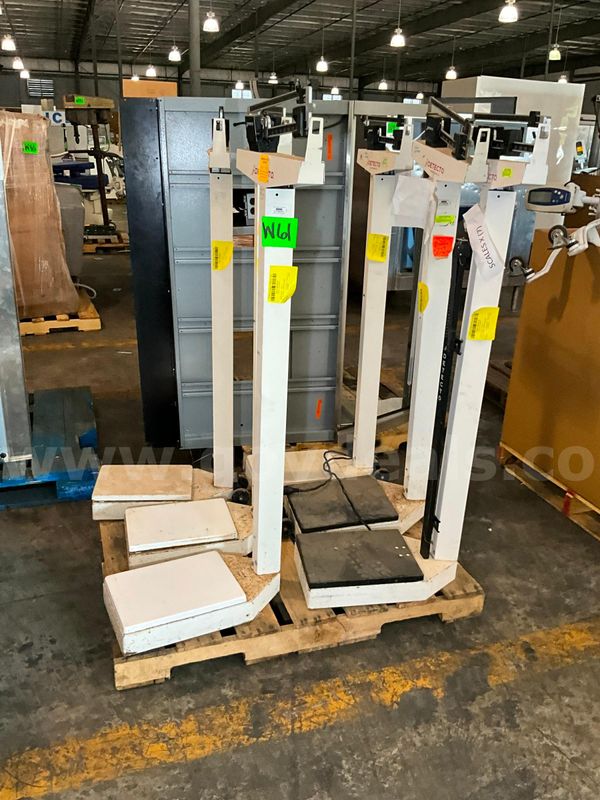 Scales Pallet