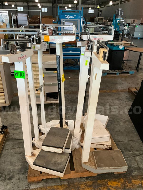 Scales Pallet (8 pcs)