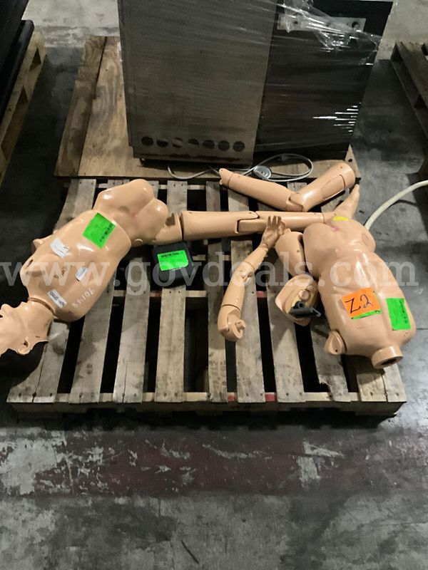 Medical Mannikin (2 pcs)