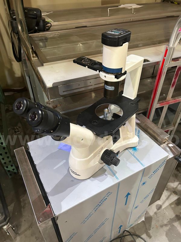Microscope