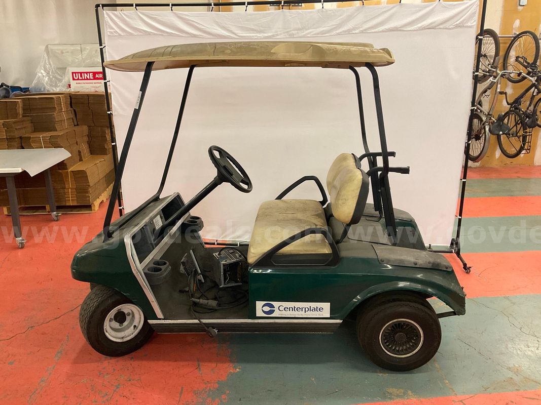 2004 Club Car DS Electric Golf Cart with Charger