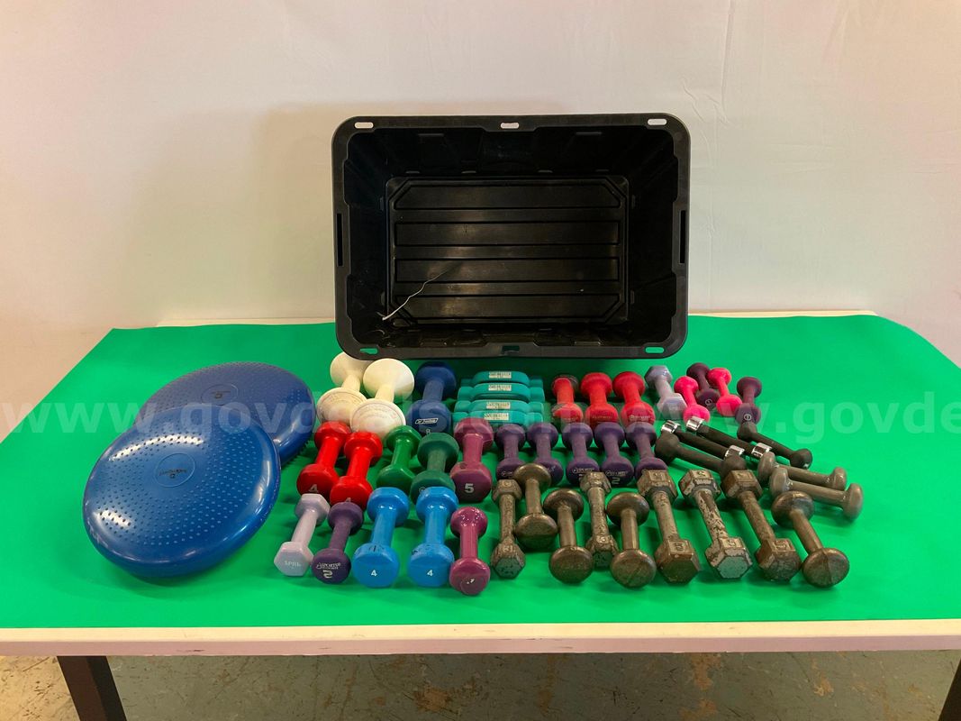 Lot of Misc. Weights and Exercise Equipment with Damaged Plastic Tub
