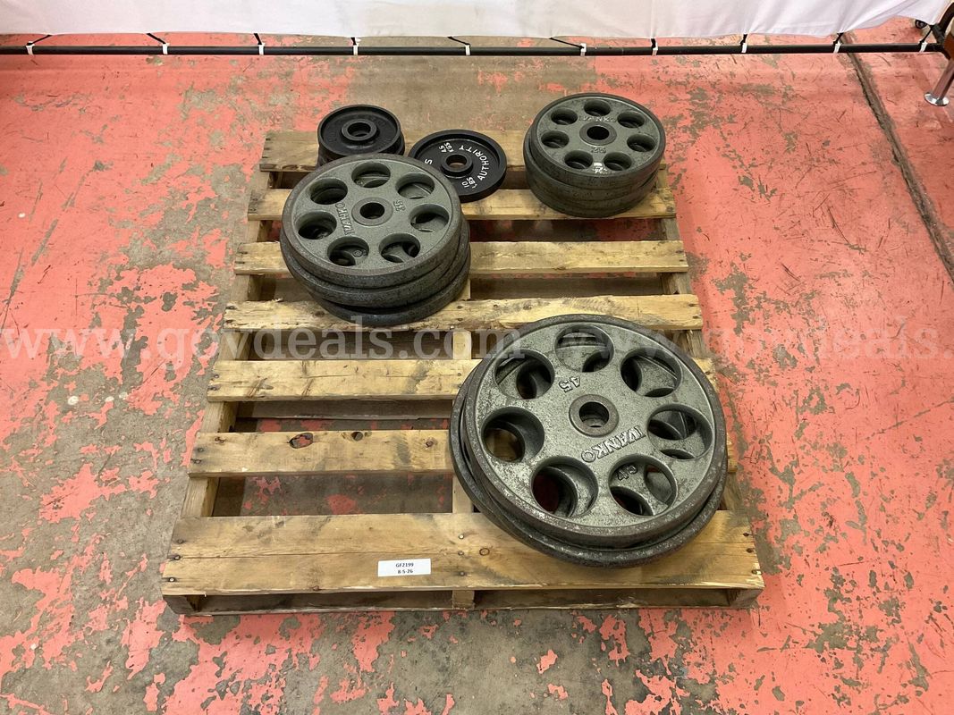 Lot of Olympic Weight Plates, Total Weight 455 lbs