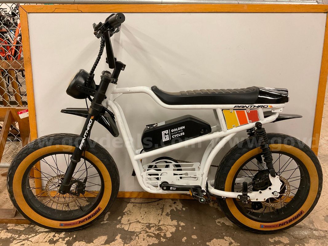 Golden Panthro Electric Bicycle With Battery, CT 18"