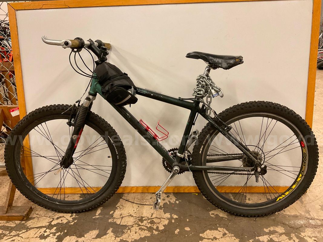 Raleigh Bicycle, CT 17"