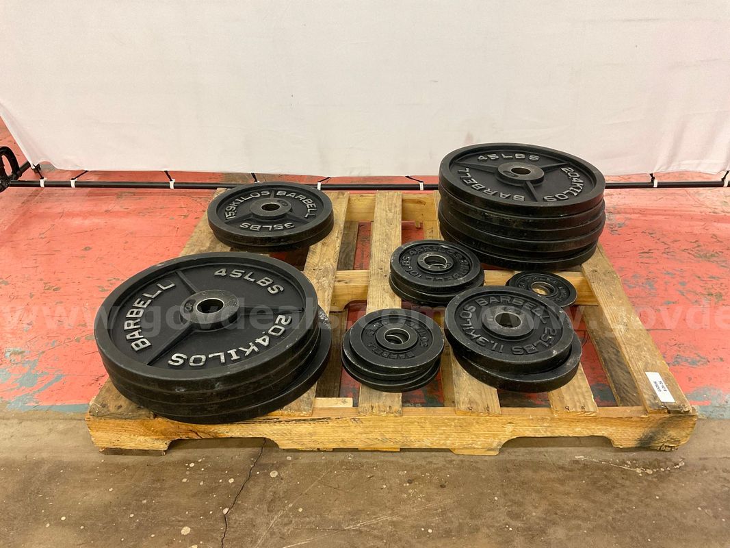 Lot of CAP Brand Olympic Weight Plates: 622.5 Lbs Total Weight
