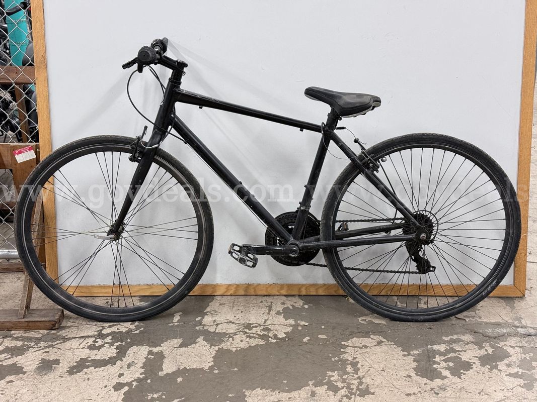 Retrospec Bicycle, CT 19.5"