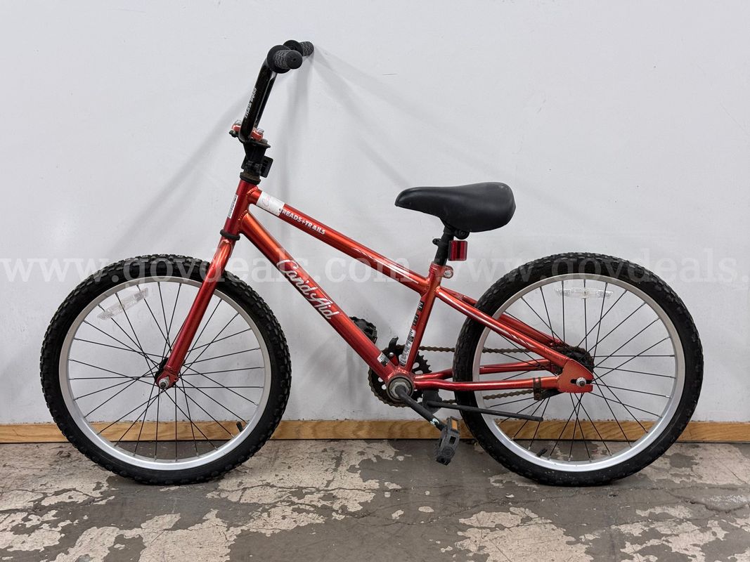Reeb Cycles Can'd Aid Treads + Trails Bicycle, CT 10.5"