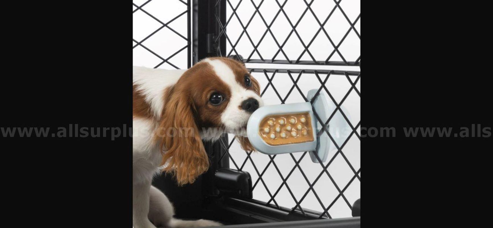 32 DIGGS Groov Crate Training Aid