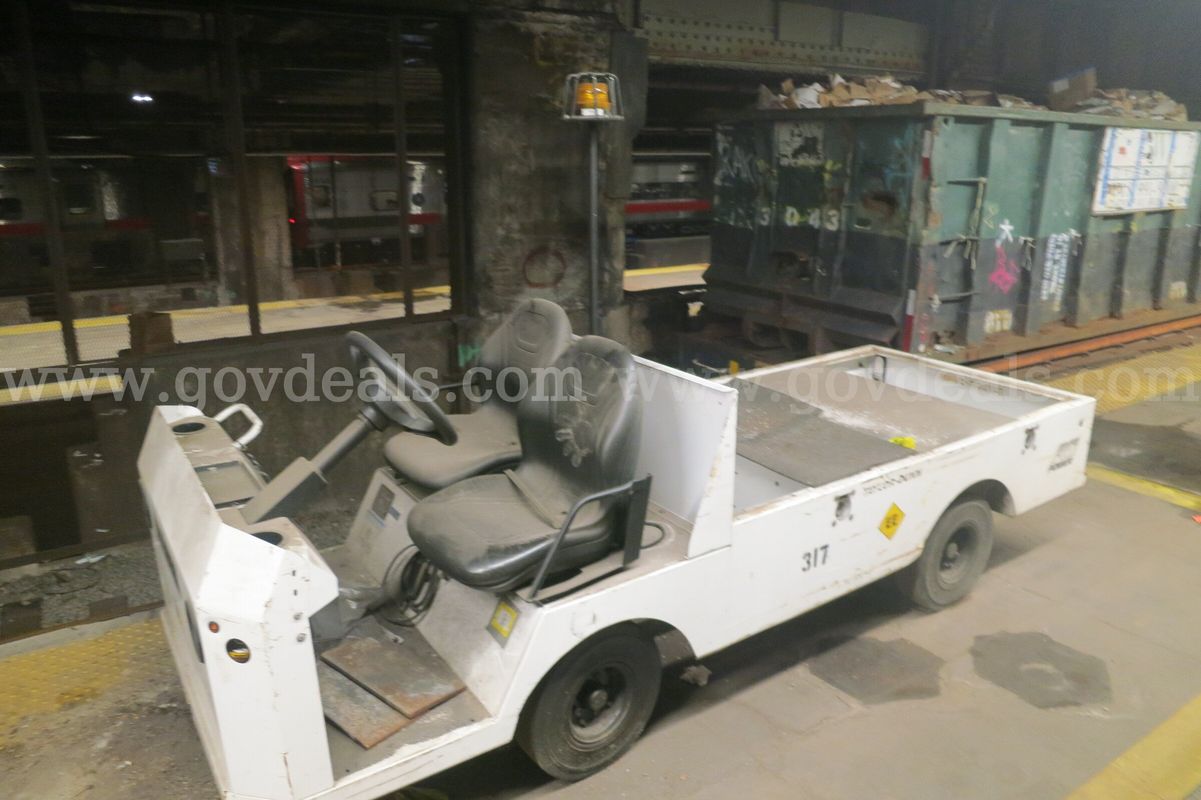 Taylor-Dunn electric cart (#317)