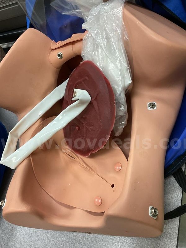 Birthing Half-Torso Trainer