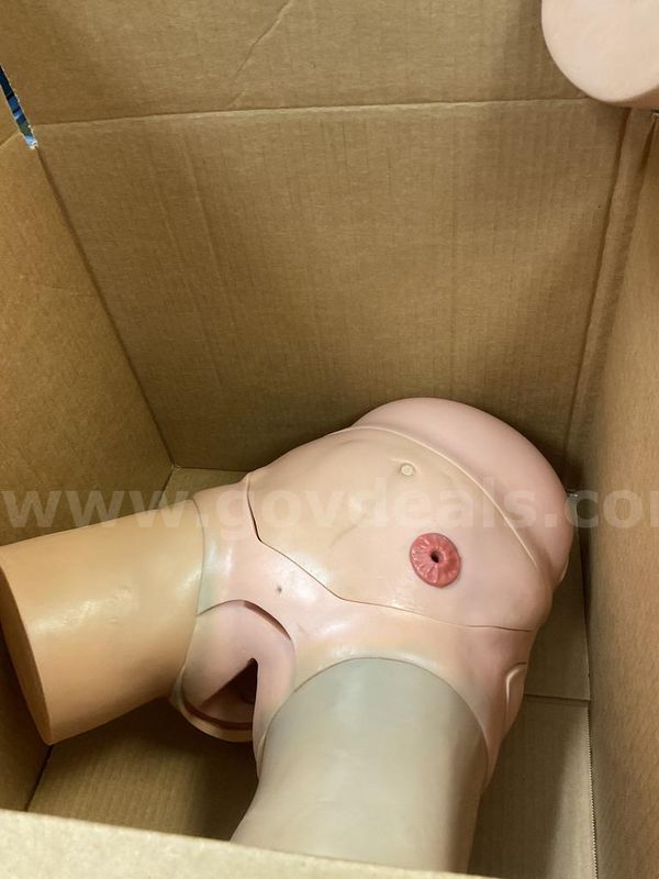 Torso Ostomy Trainer