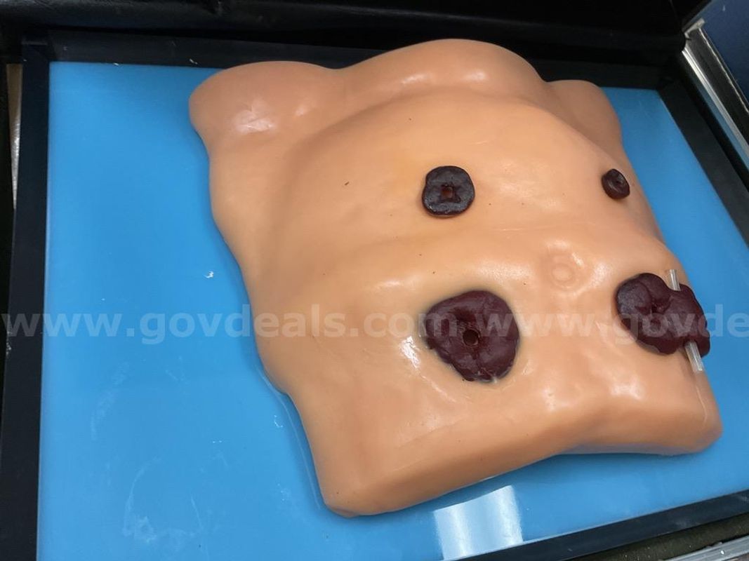 Torso Ostomy Trainer