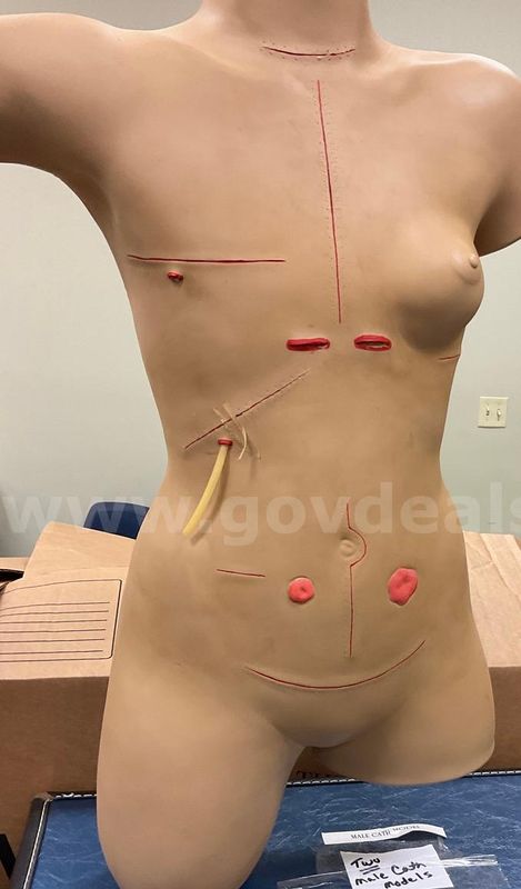 Wound and Incision Torso Training Manikin