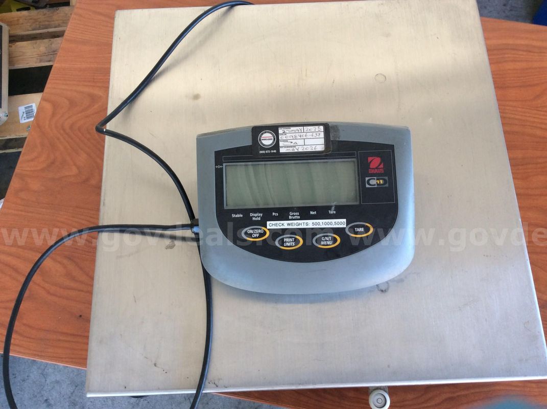 Weight Scale