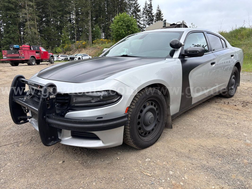 2020 Dodge Charger Police