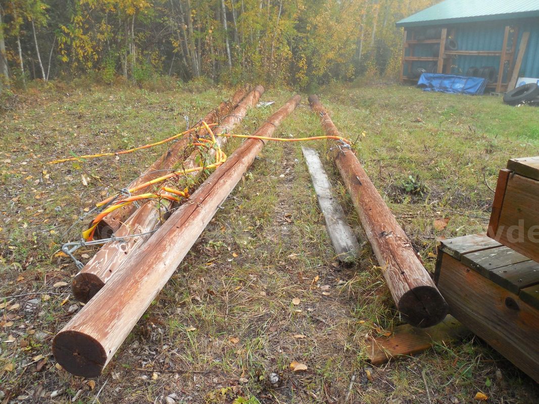 Four large wooden utility poles