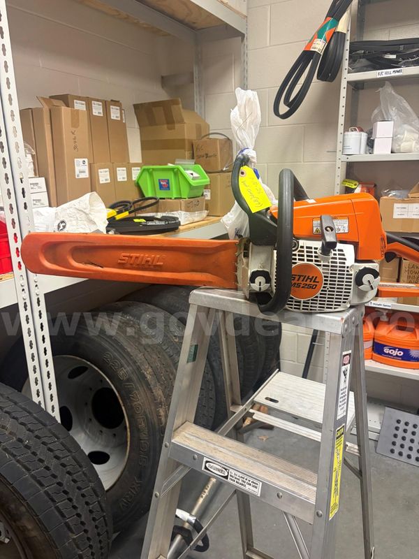 MS250 STIHL Chainsaw