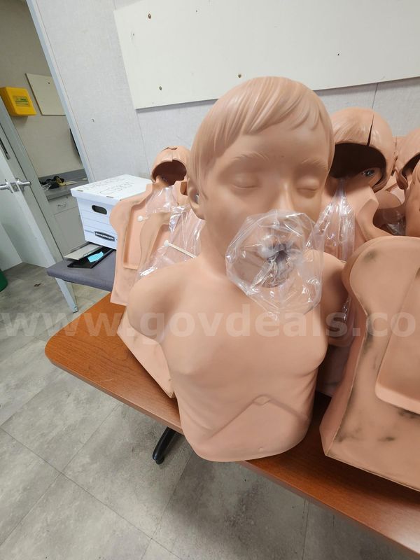 lot of 30 Simulaids Economy Adult Sani-Manikin
